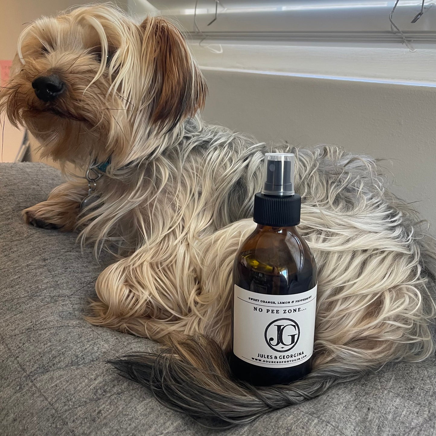 No Pee-Zone Spray
