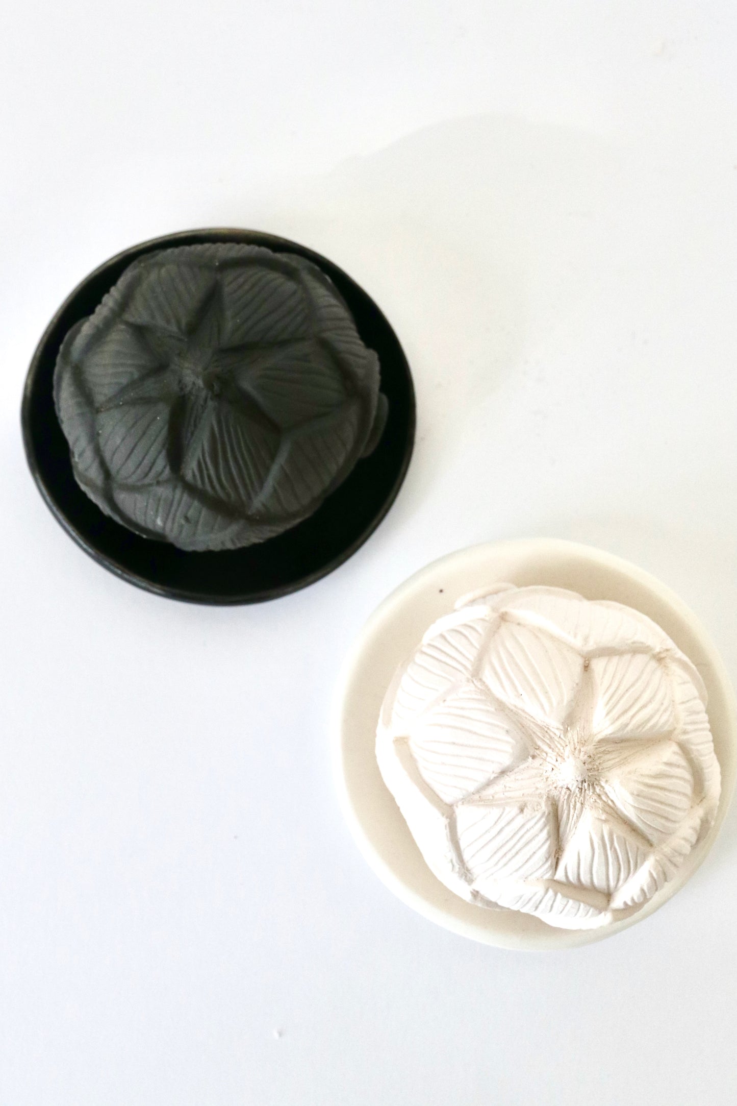 Porous ceramic protea with plate