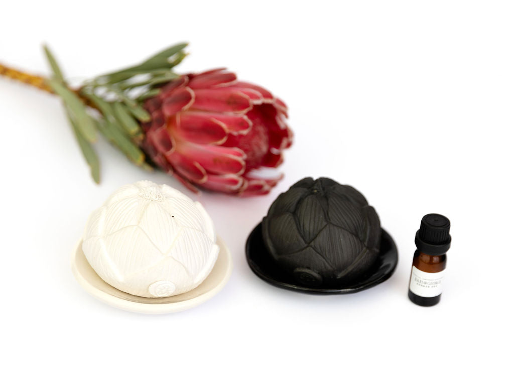 Porous ceramic protea with plate
